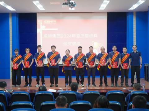 菠菜担保网电气集团召开2024年度质量月总结表扬大会