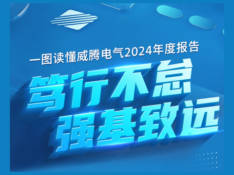 一图读懂菠菜担保网电气2024年度汇报